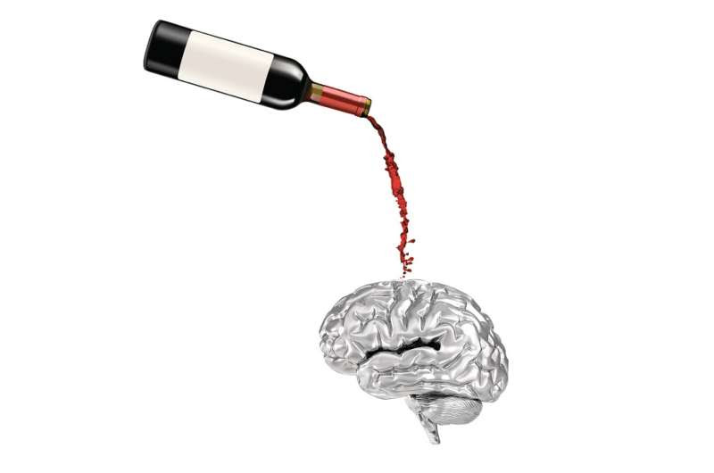 Moderate drinking linked to brain changes and cognitive decline