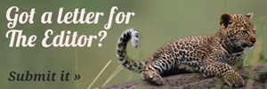Submit your letter to The Editor