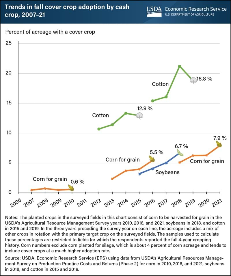 This is a line graph showing the trends in fall cover crop adoption by cash crop for years ranging from 2006 to 2021, particularly cotton, corn for grain and soybeans surveys.