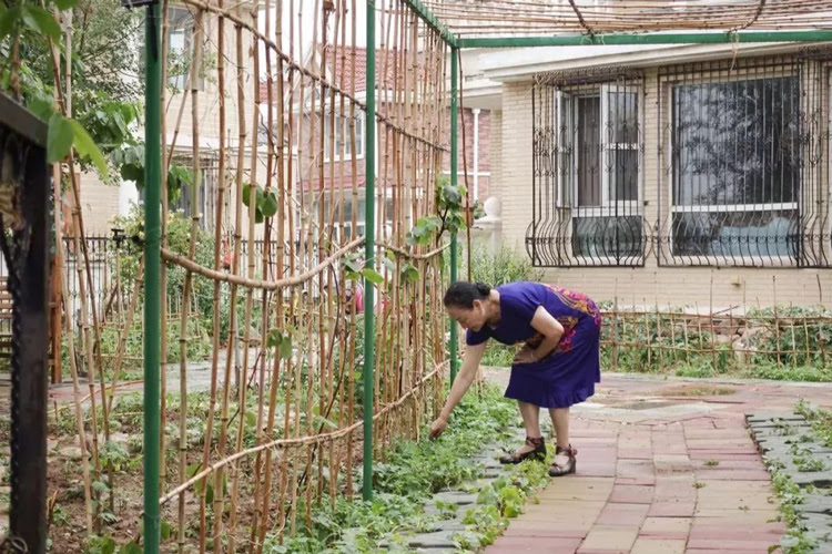 Bà cùng với những người bạn cũng trồng rau, chăm sóc cây cỏ để khuây khỏa mỗi ngày.