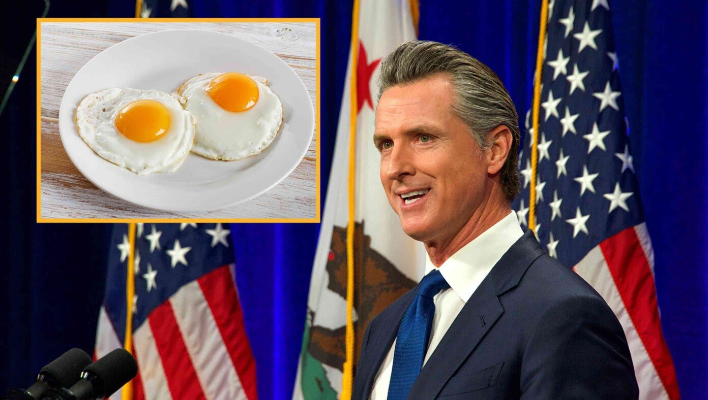 Gavin Newsom Caught At French Laundry Eating Eggs Cooked On Gas Stove