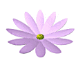 http://buddhadharmaobfinternational.files.wordpress.com/2011/01/daisy991.gif