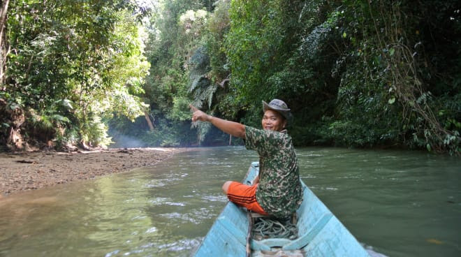 Un hombre señala la selva tropical en Sarawak, Borneo, desde un bote