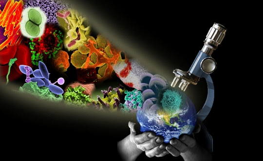 microscope