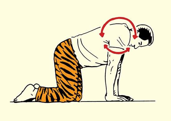 shoulder rolls stretch morning stretching routine illustration