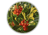external image bbc-christmas.png external image bbc-christmas.png
