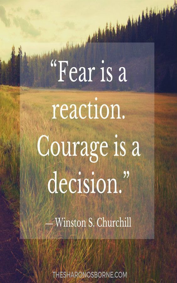 Image result for Courage to face my fears. Courage is very important. Like a muscle, it is strengthened by use.