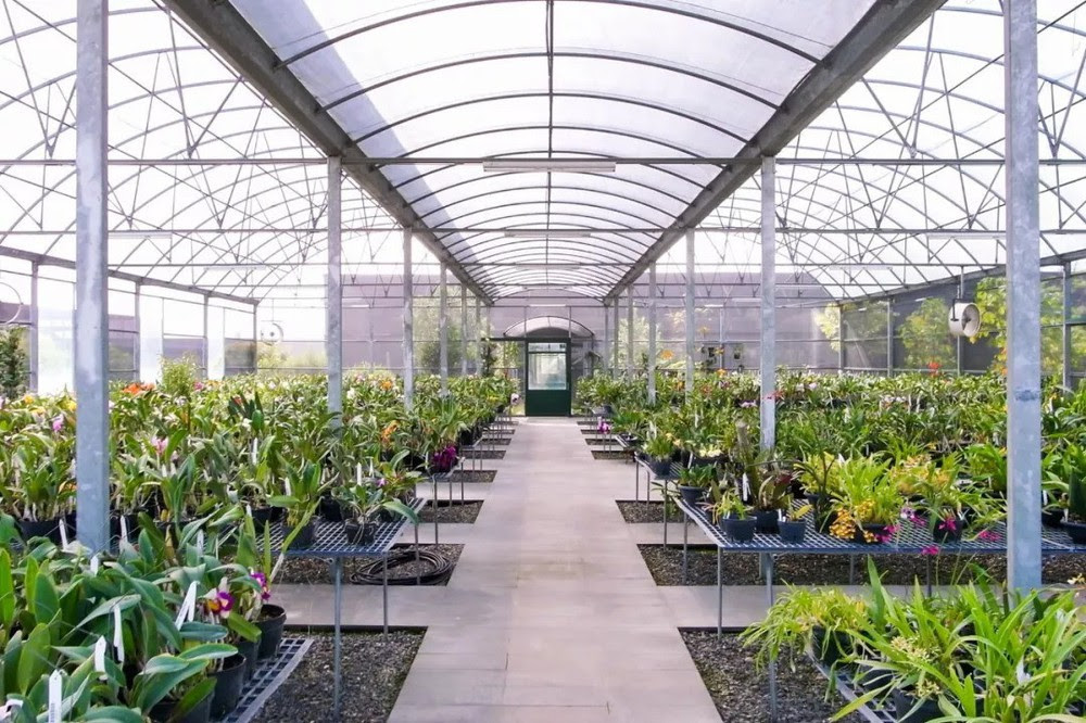 Vị giáo sư độc thân sở hữu ngôi nhà kính trong thung lũng 12.000m² với cuộc sống khó ai tin được - Ảnh 19. Vị giáo sư độc thân sở hữu ngôi nhà kính trong thung lũng 12.000m² với cuộc sống khó ai tin được - Ảnh 19.