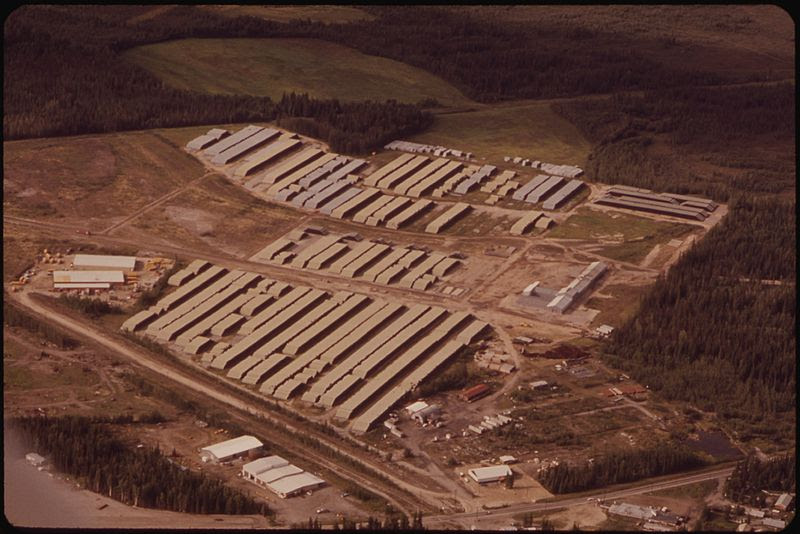 File:ALYESKA PIPELINE SERVICE COMPANY'S FAIRBANKS PIPEYARD, WITH MORE THAN 200 MILES OF 48-INCH PIPE. MOST LENGTHS ARE... - NARA - 550552.jpg