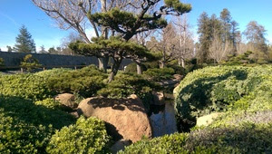 Japanese Gardens at Lake Balboa