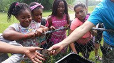 Environmental grants