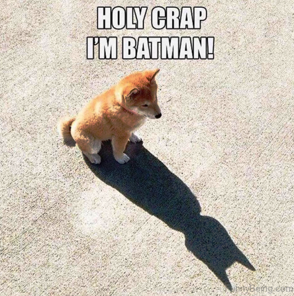 Holy Crap I'm Batman