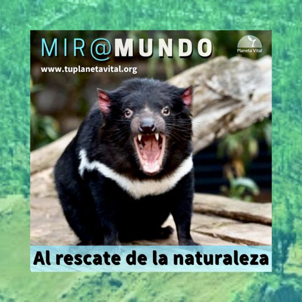 Al rescate de la naturaleza