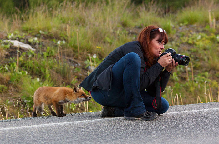 Nature                                                            Photographer