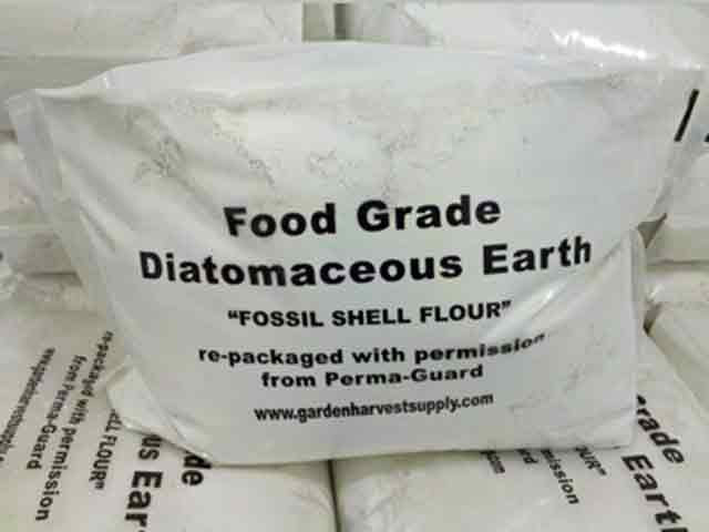 DIY Detox With Diatomaceous Earth To Remove Allergies, Mercury, Chemicals, GMOs, Parasites