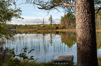 shoreline view from Pickerel Lake State Forest Campground, reflecting the surrounding trees and sky