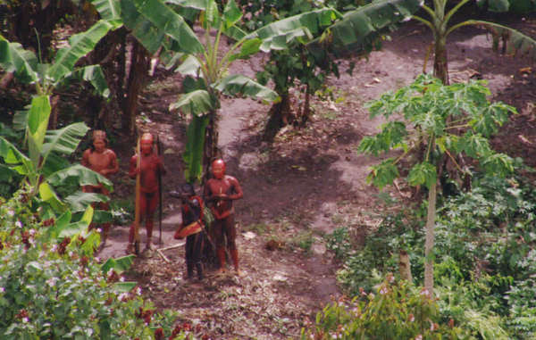Brazil is home to more uncontacted tribes than any other country. We know very little about them, but they face annihilation unless their right to determine their own futures is respected. 