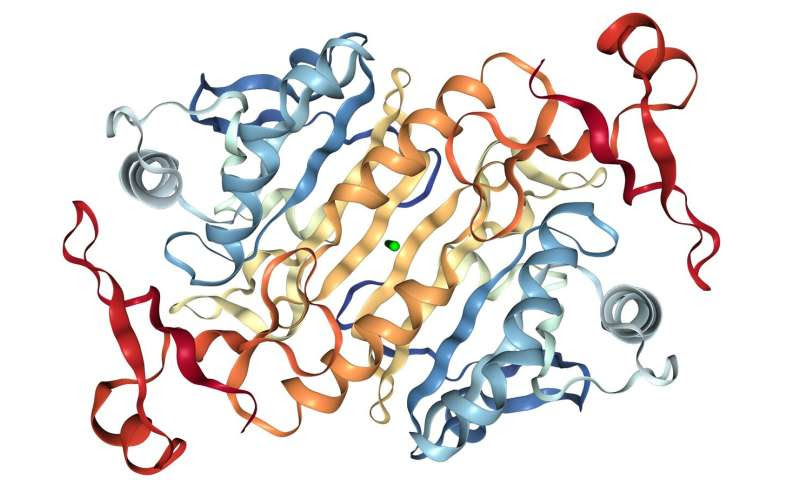 Compound offers prospects for preventing acute kidney failure