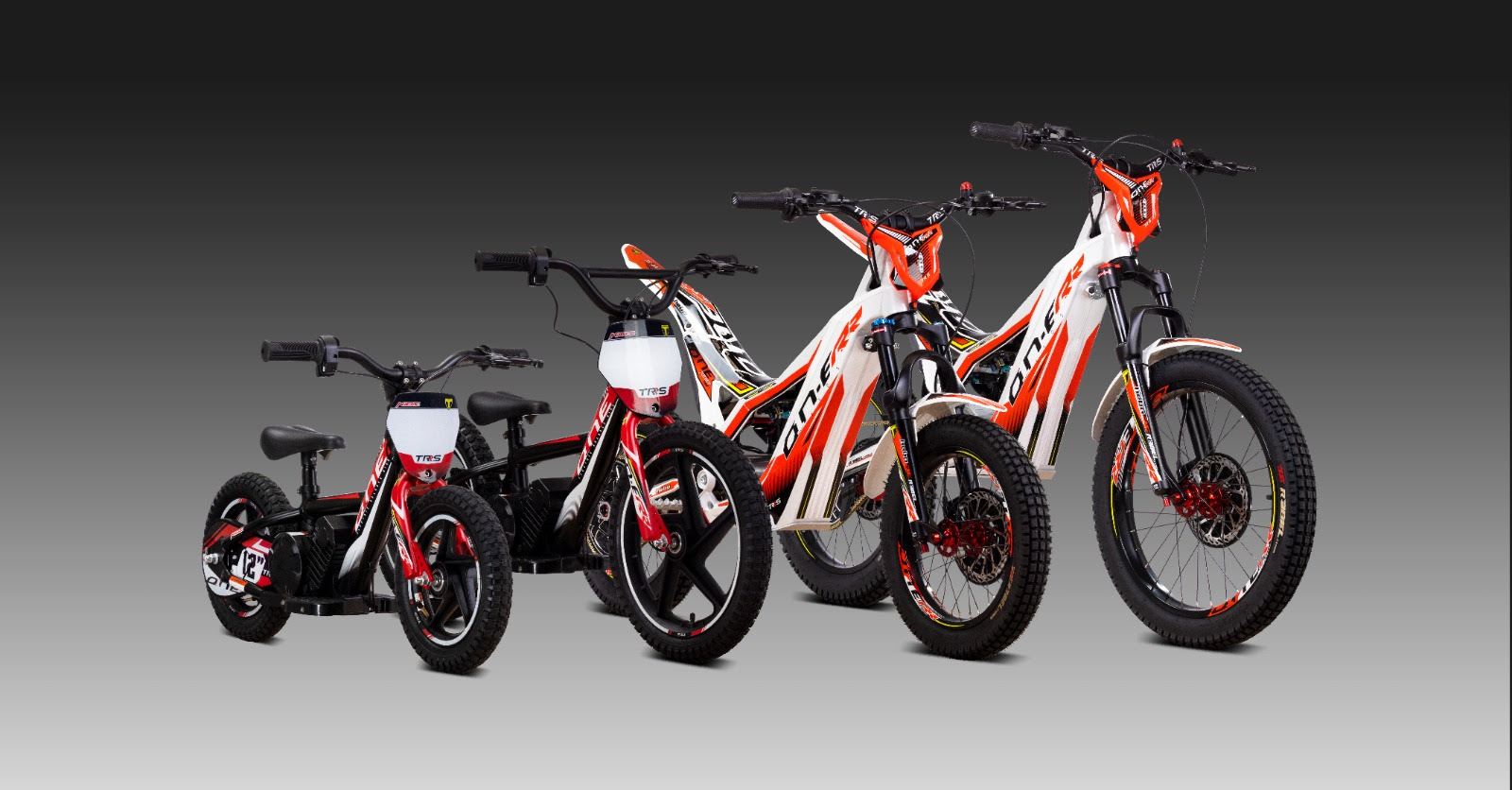 Trrs cheap e bike