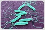 Scientists identify new strategies used by Helicobacter pylori to target mitochondria