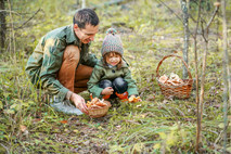 mushroom picking