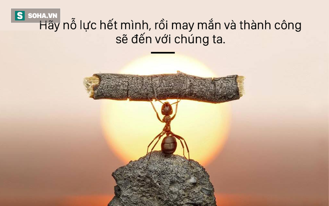 5 câu nói có thể giúp hàng triệu người đổi vận, hãy đọc để ngẫm về chính mình! - Ảnh 3. 5 câu nói có thể giúp hàng triệu người đổi vận, hãy đọc để ngẫm về chính mình! - Ảnh 3.