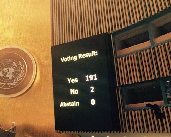 votacion 1