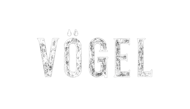 Vogel-logo-removebg-preview