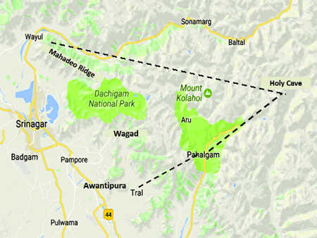 Why Tral matters so much
