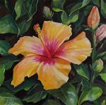 Hibiscus Sunset - Posted on Wednesday, December 17, 2014 by Donna Munsch