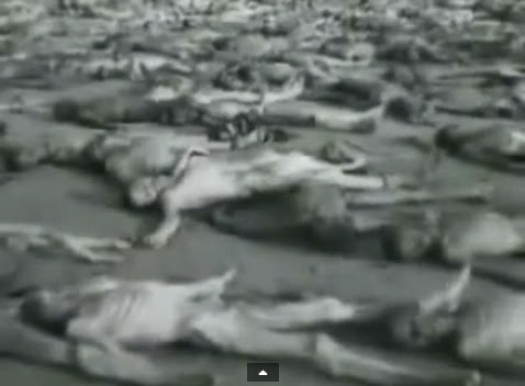 Male                             emaciated dead bodies without clothes and                             without spots and without tattooed numbers                             of detainees (4min. 54sec.)