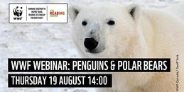 Penguins and Polar Bears with WWF