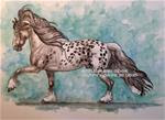 GALLOPING SPOTTED FRIESIAN   Draw 25 - Posted on Monday, January 26, 2015 by Sheri Cook