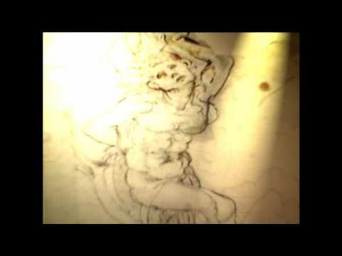 Leonardo Da Vinci Rare Drawing Discovered December 12, 2016  Hqdefault