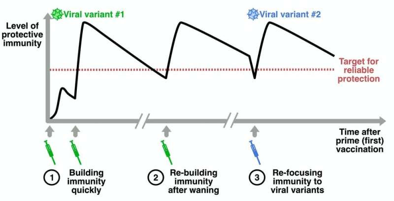 Why do we need booster shots, and could we mix and match different COVID vaccines?