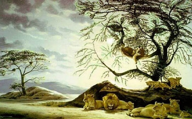 Test nhanh: Hãy để đàn sư tử giúp bạn hiểu rõ tình trạng thể chất và tinh thần hiện tại