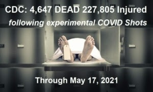 CDC Stats through May 17th, 2021 CDC-Deaths-Injuries-5.17.21-768x460-1-300x180