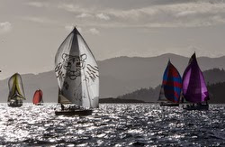 J/109 sailing Seattle Grand Prix on Puget Sound