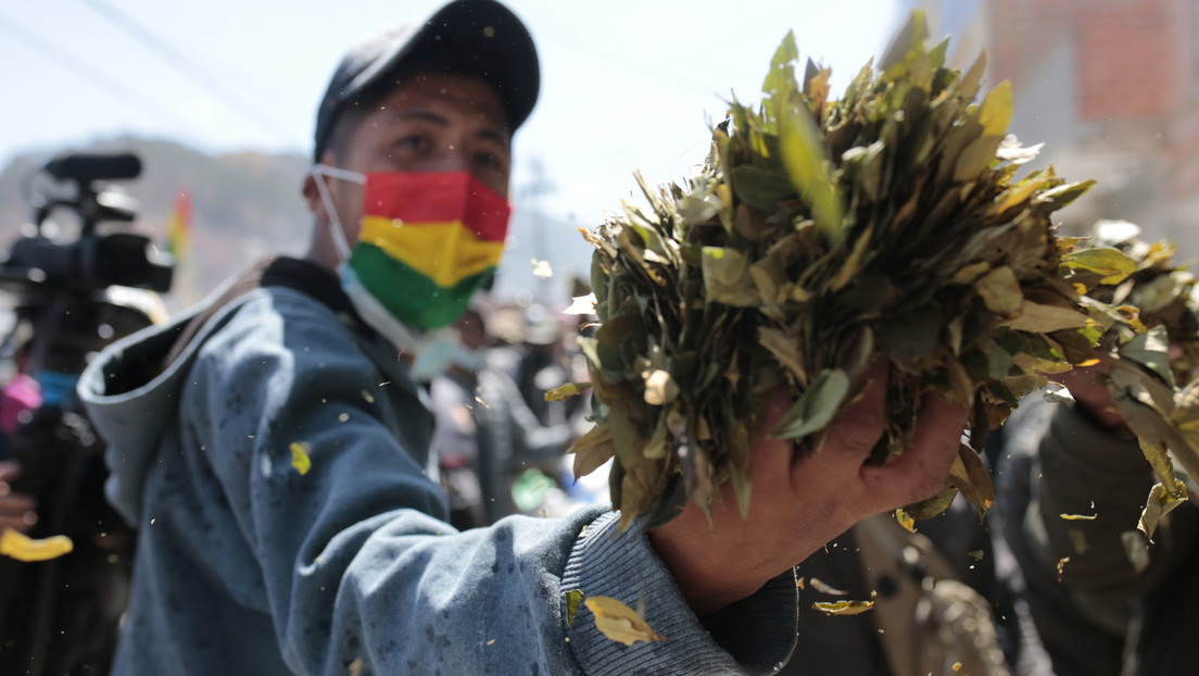 La quema de un mercado de coca en La Paz aviva el conflicto entre los cocaleros en Bolivia: ¿qué está pasando?