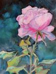 Pink Rose from Bentonsport - Posted on Saturday, January 17, 2015 by Carlene Dingman Atwater