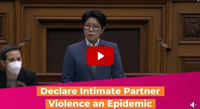 MPP Wong-Tam in the legislature with the caption "Declare

Intimate Partner Violence an Epidemic"