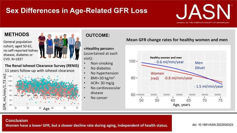 Study reveals sex differences in age-related loss of kidney function