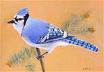 Blue Jay, Bird Oil Painting - Posted on Wednesday, February 4, 2015 by Linda McCoy
