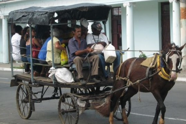  En muchas ciudades del interior, el transporte a caballo es casi la única opción. (foto de 14ymedio)