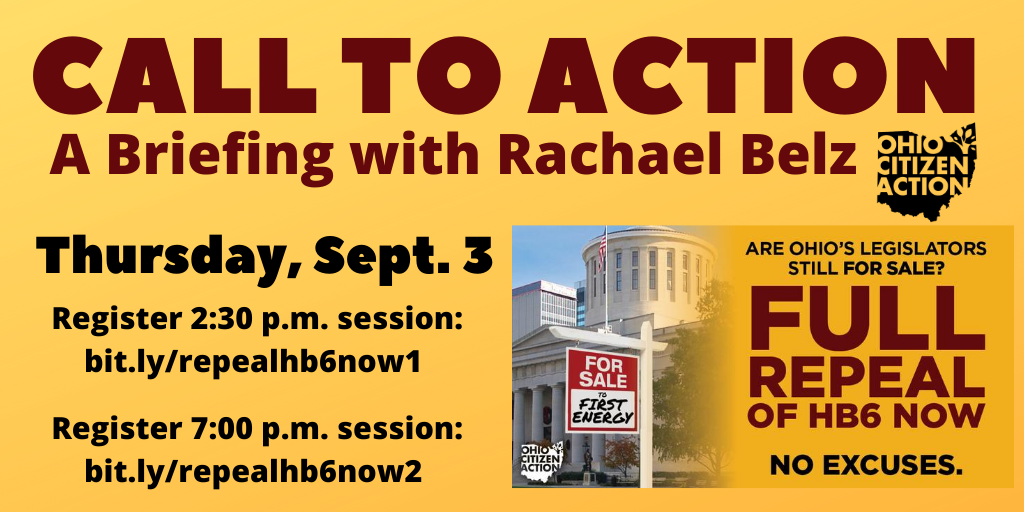 Green Umbrella - Call to Action: A Briefing with Rachael Belz