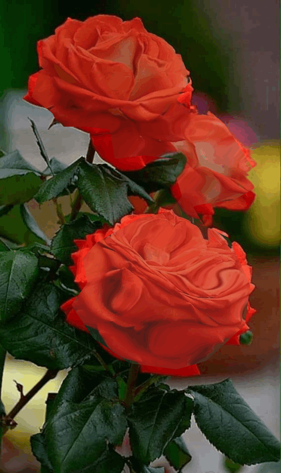 VQaIKzWBqNMqA1cYQaAgUSM7xr-Lw6ih-7yU8qVEOUPWUtB72DHK_DiYstB2q9QE.gif