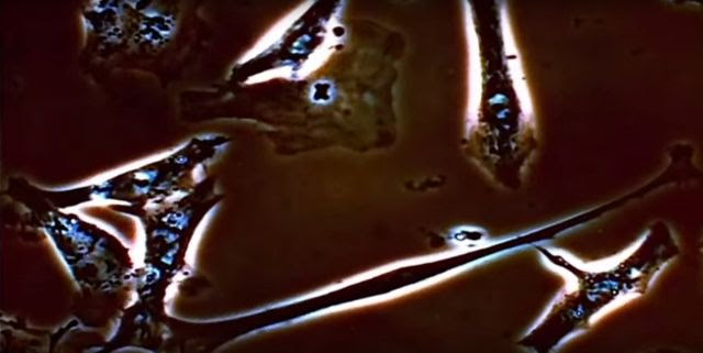 Satellite Images Reveal Supernatural Messages From God! Meanwhile, Experts Discover God's Signature In the Human Heart! These Shocking Discoveries Will Leave You Speechless! (Videos)