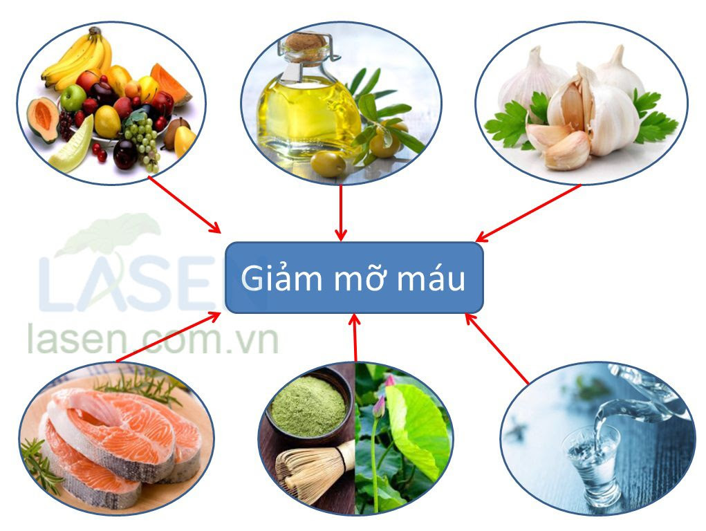 cholesterol là gì, cholesterol la gi, cholesterol cao