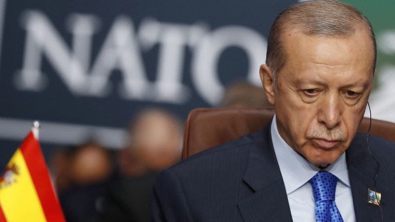 Turkey's president submits Sweden's NATO bid to parliament for ratification 800x450_cmsv2_5885af29-1034-5bb5-bd4c-7542955ee5cf-7988072