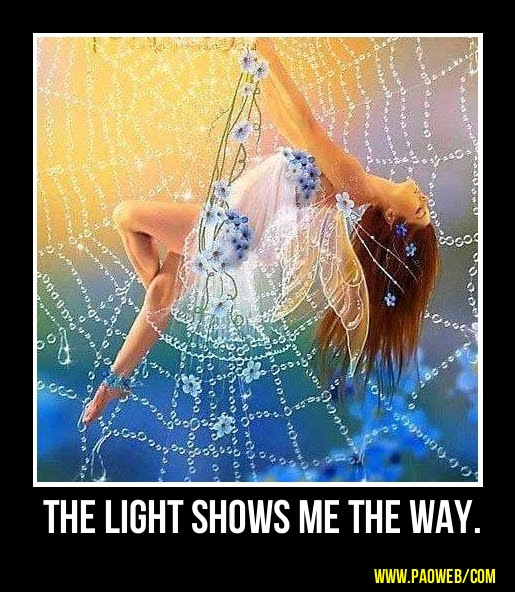 FB Light shows the way